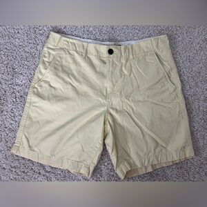 Men's Size 36 Vintage Prep Style American Eagle Shorts